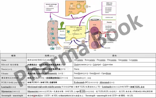 藥理藥化整合 國考參考書 - 藥理藥化機轉圖對照