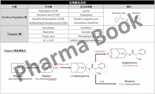 Red 生藥資料夾 國考衝刺講義 - tropane 類結構變化