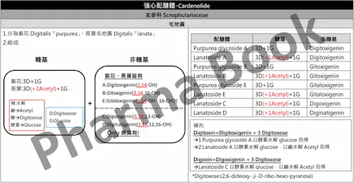 Red 生藥資料夾 國考衝刺講義 - 毛地黃配醣體水解